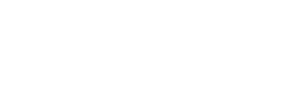 Logo_Lillipub_White (png)